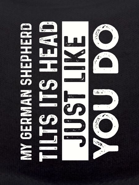 German shepherd dog