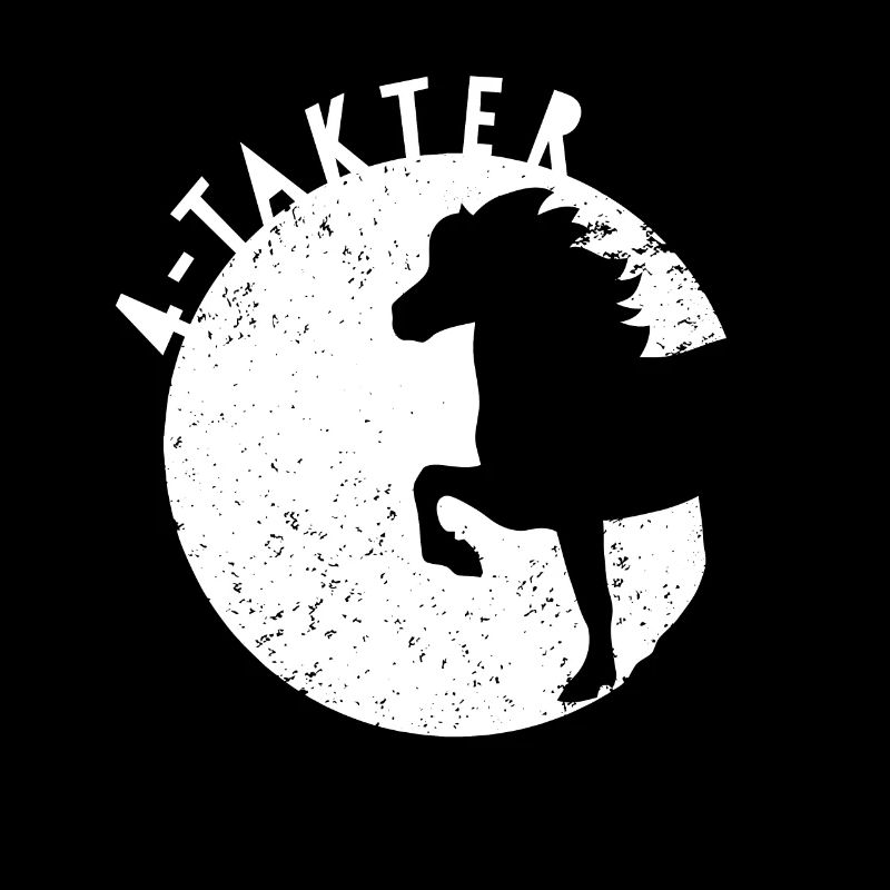 4 Takter Isländer Islandpferd Pony