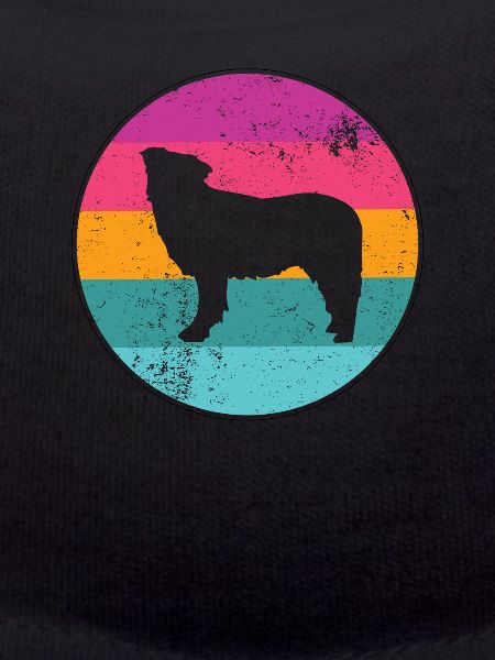 Retro border collie