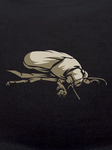 Brown beetle