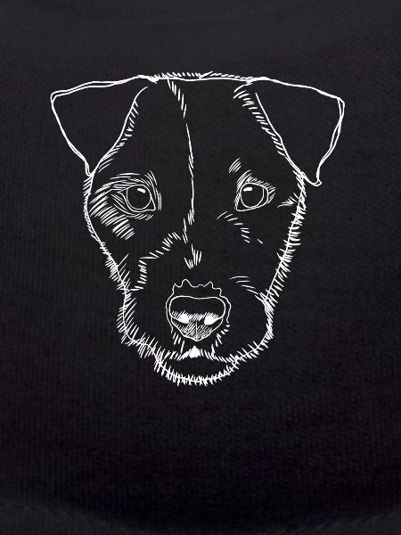 Parson Russel Terrier Dog