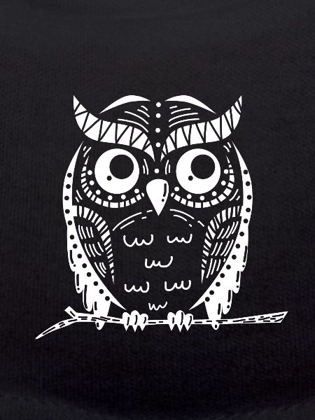owl