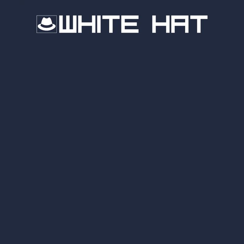 White Hat Hacker Typ