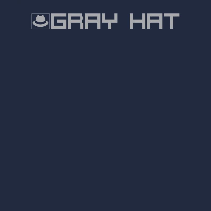 Grey Hat Hacker Typ