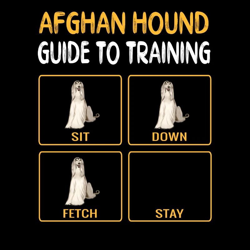 Afghan Hound Guide To Training Dog Obedience
