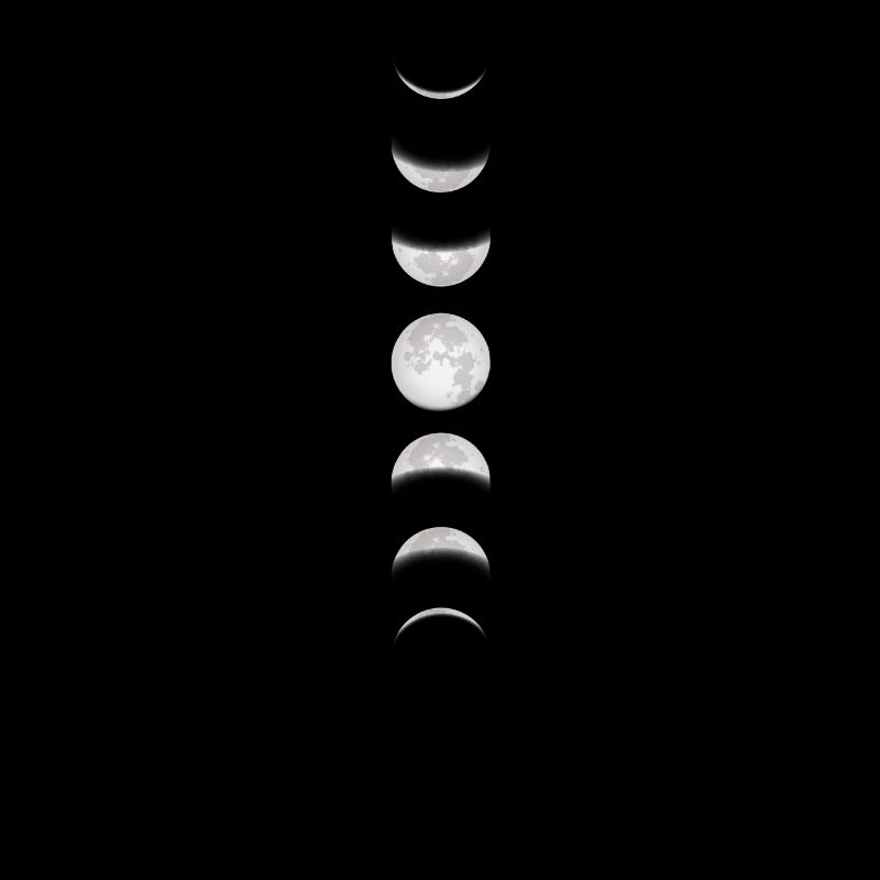 Moon Moon Moon Phases Full Moon Lunar Eclipse Total