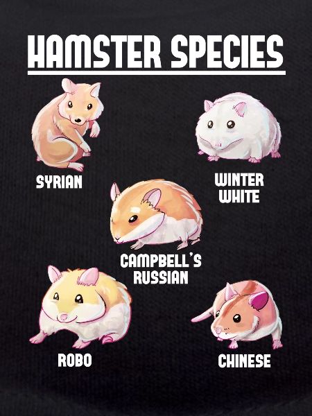 Hamster Species