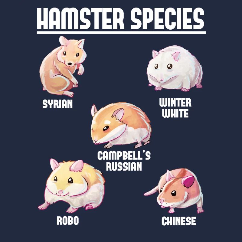Hamsterarten