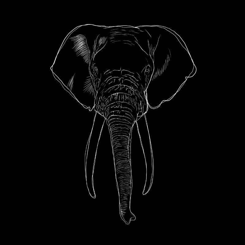 Elefant