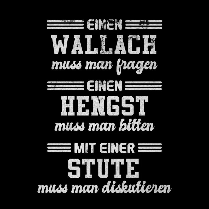 Pferde Wallach Hengst Stute Pferderassen Pferd