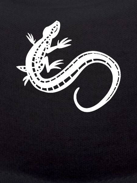 lizard
