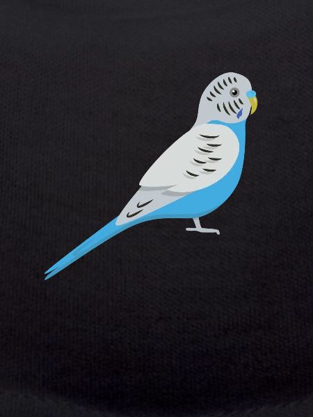 Budgie