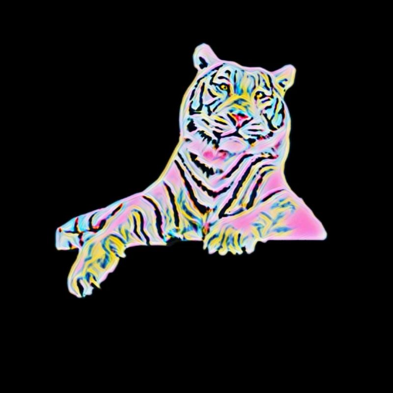 tiger