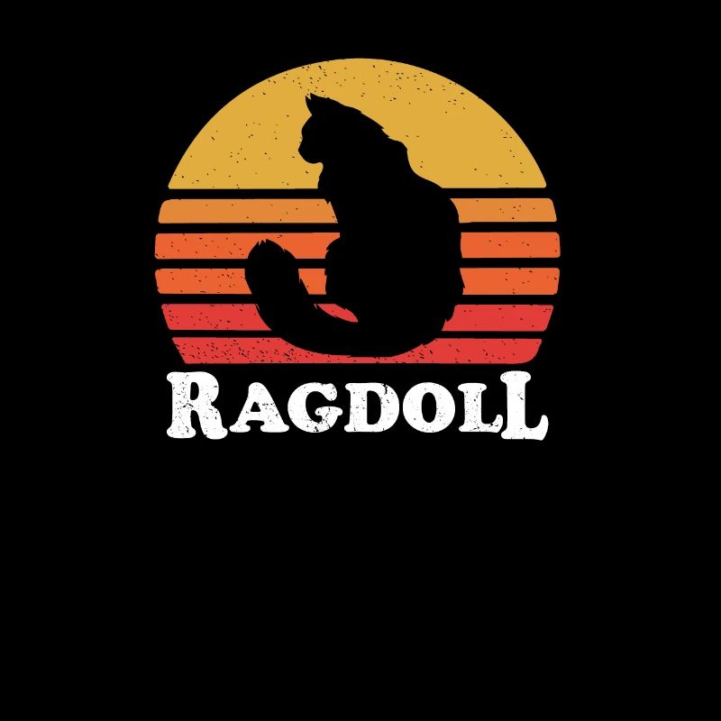 ragdoll cat