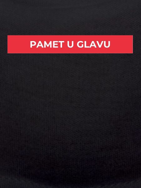 Pamet u glavu