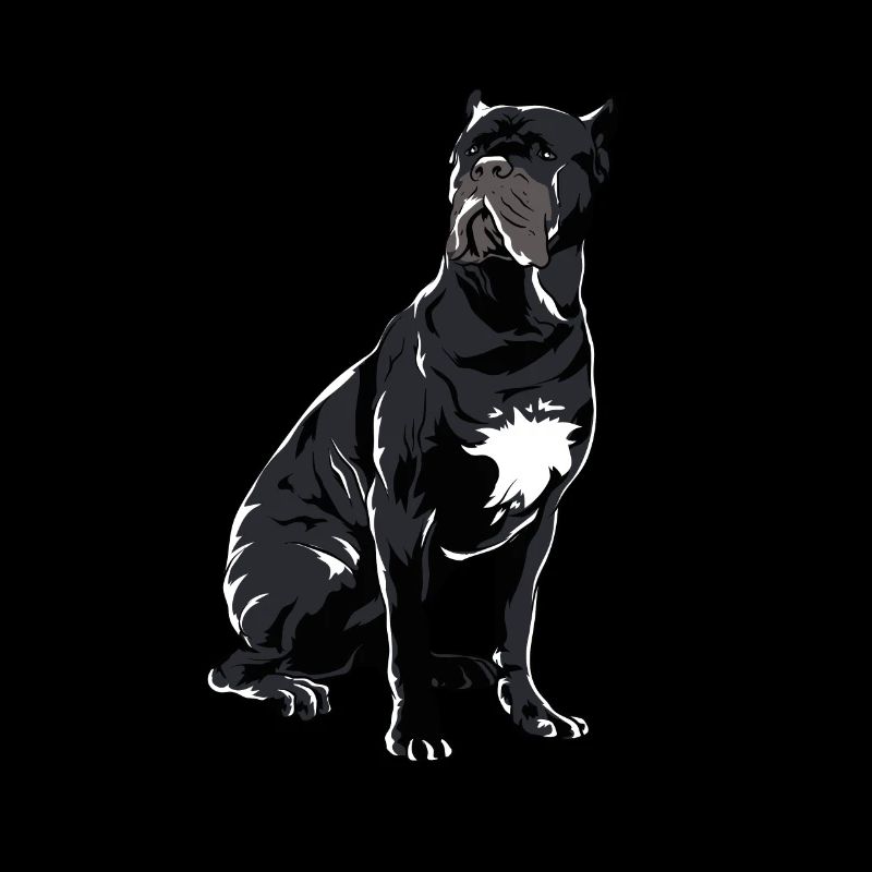 Cane Corso Molosser Mastiff Italian