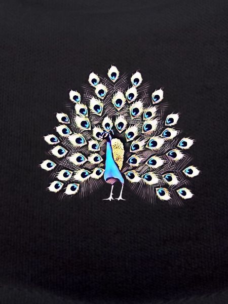 peacock