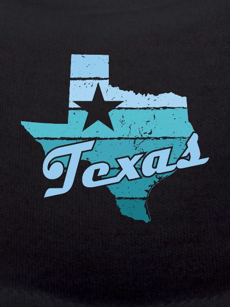 Texas American state
