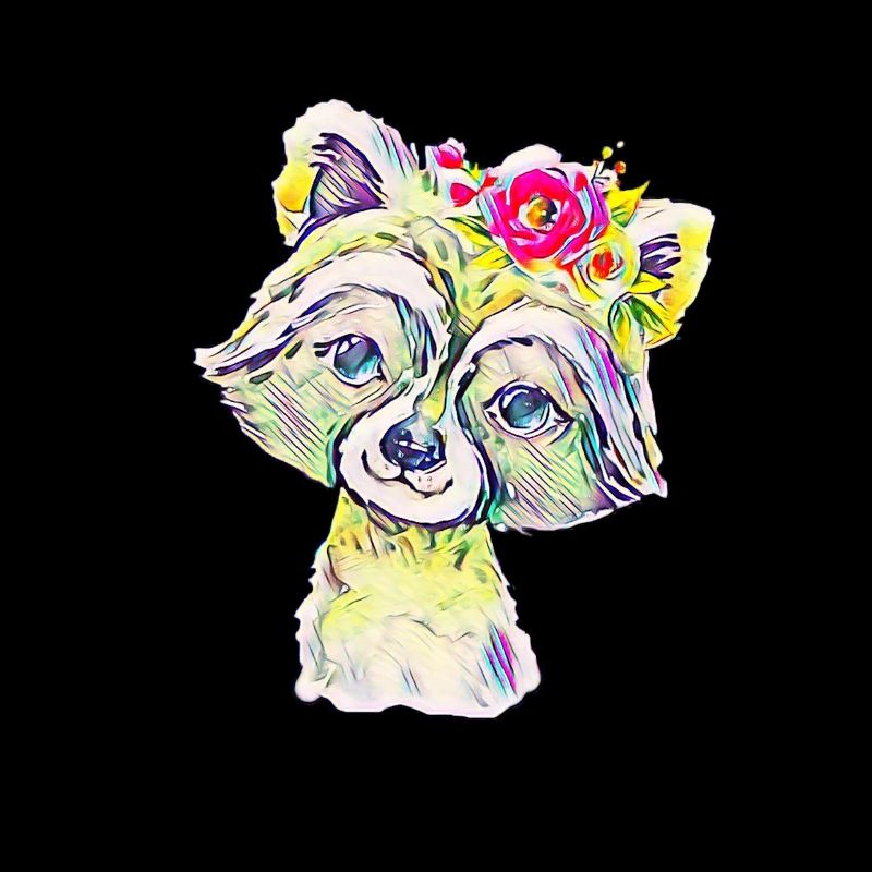Waschbär