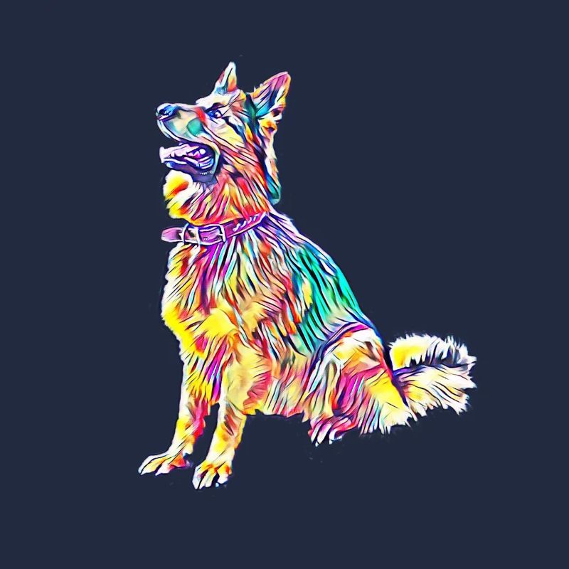 Schäferhund