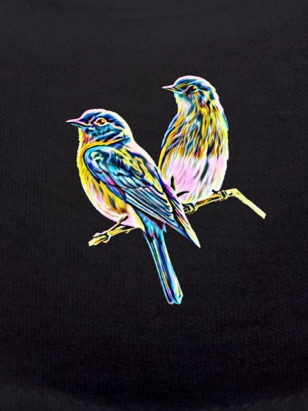 Birds