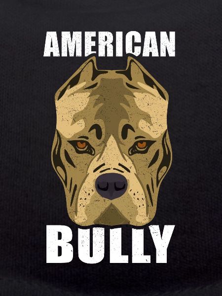 American Bully dog
