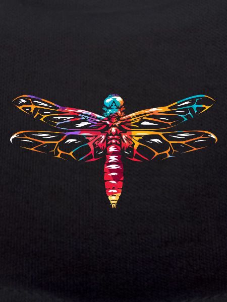 Libellules Odonata libellule