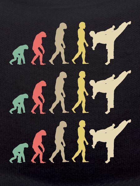 Karate Evolution - Taekwondo