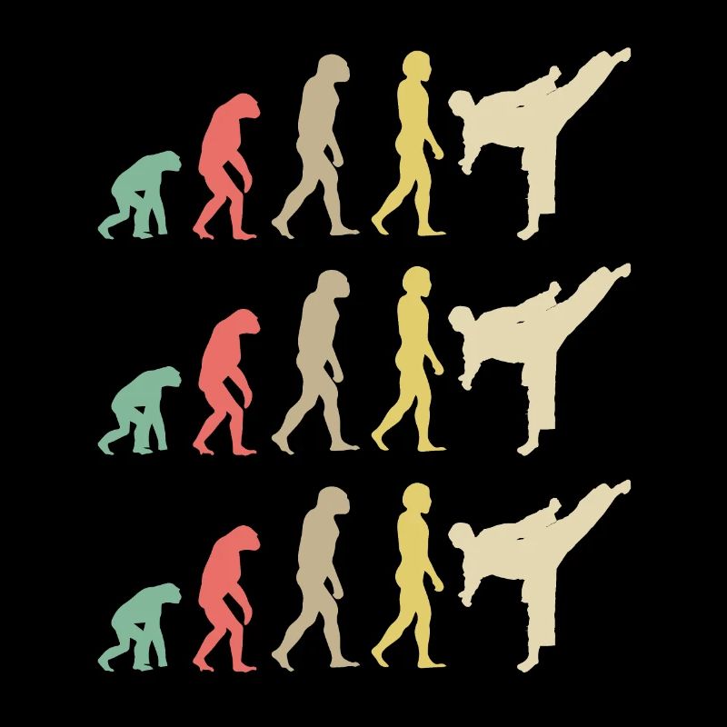 Karate Evolution - Taekwondo