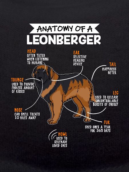 Anatomie des Leonberger Hund Hundebesitzer