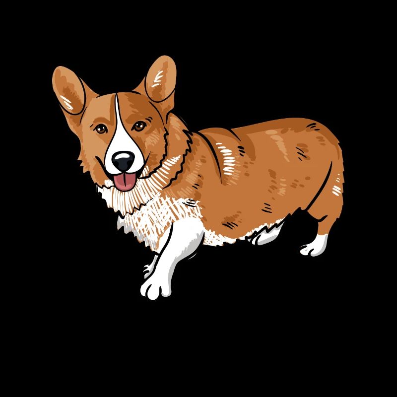 Corgi