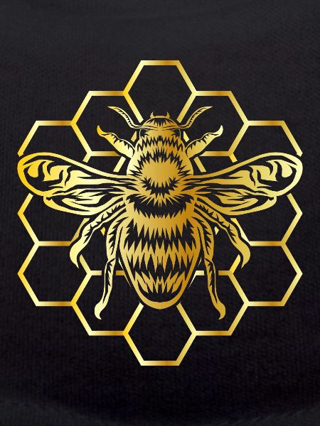 Beekeeper Honeycomb Bees Honey