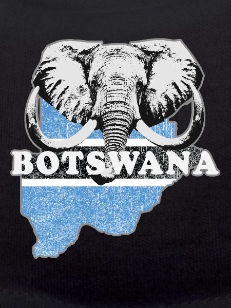 Drapeau du Botswana Afrique Drapeau
