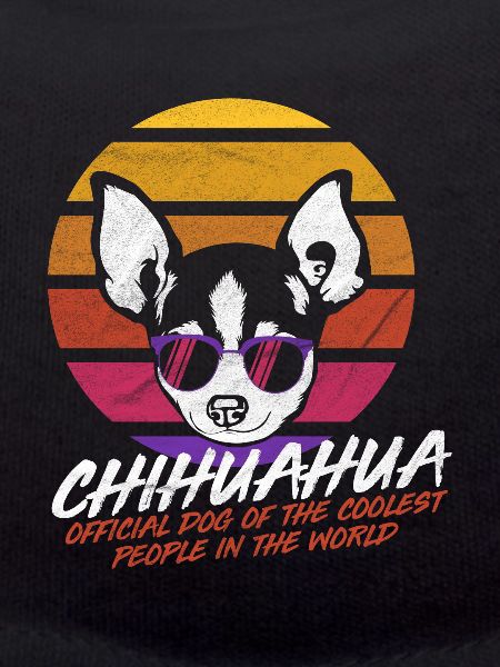 Coolest dog Chihuahua