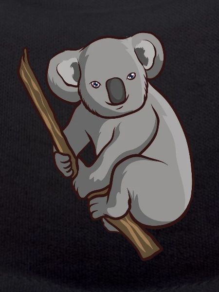 Koala bear