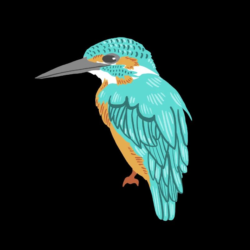 kingfisher