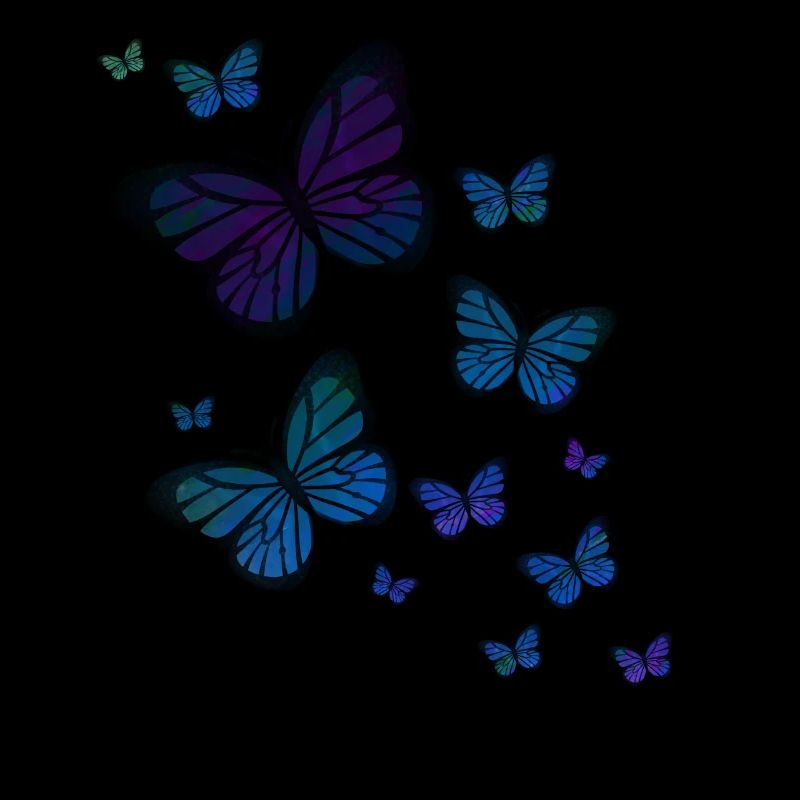 Schmetterling Schmetterling Tier bunt Farbe