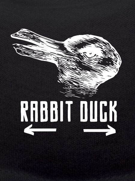 Rabbit duck