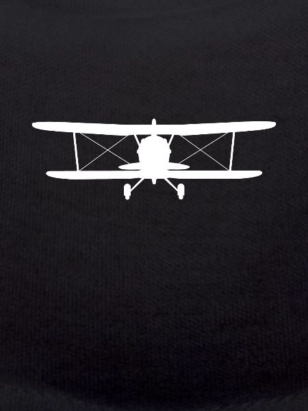 Model flight