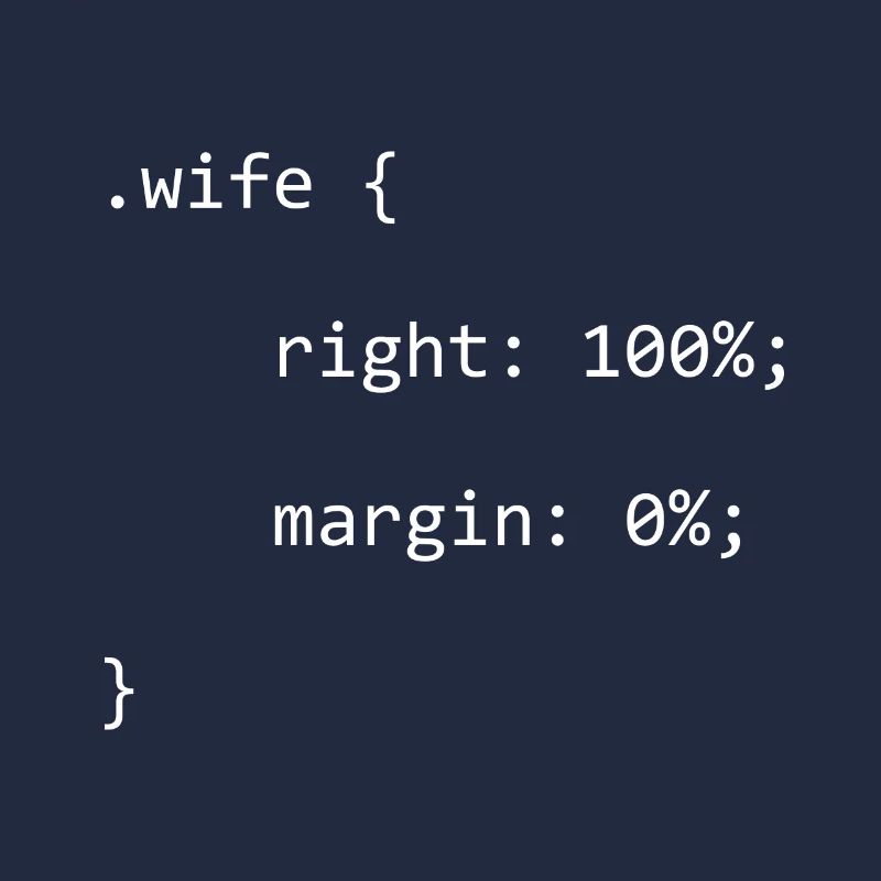 CSS Wife Right Softwareentwickler Developer