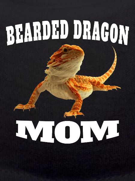 Maman dragon barbu