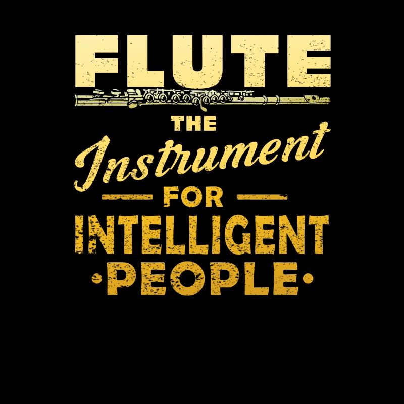 Flute musical instrument flute player