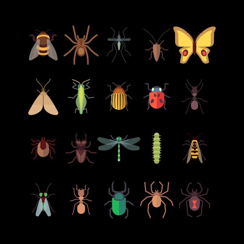 Entomologie de dessin de collectionneur d'insectes