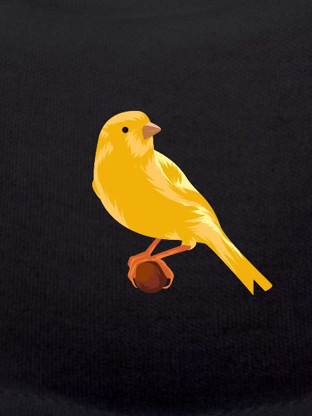 Canary on branch
