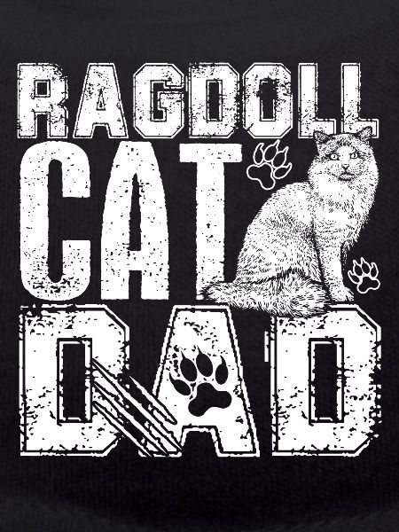 Chat Ragdoll Chat Ragdoll Papa