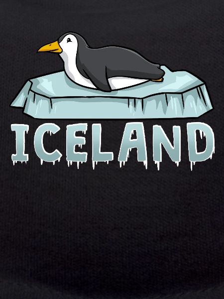 Macareux d’Islande