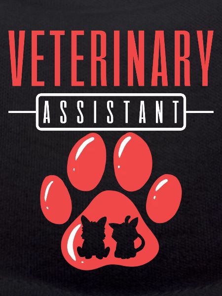 Veterinary Assistant Vet Tech