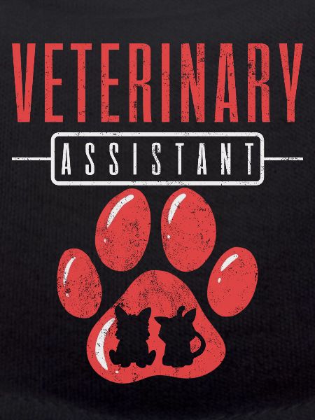 Veterinary Assistant Vet Tech