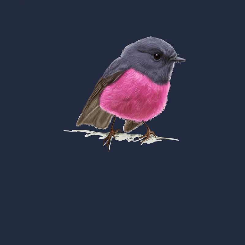 cool bird pink robin gift idea