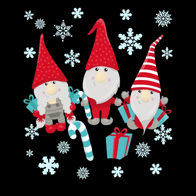 Cute Gnomes Christmas Present Present Idea